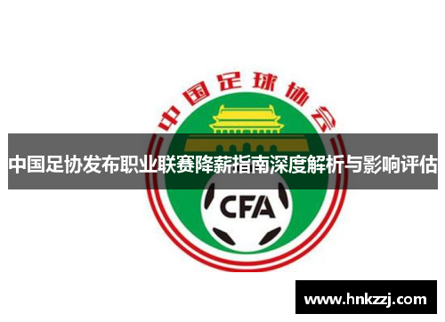 中国足协发布职业联赛降薪指南深度解析与影响评估