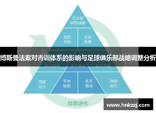 博斯曼法案对青训体系的影响与足球俱乐部战略调整分析