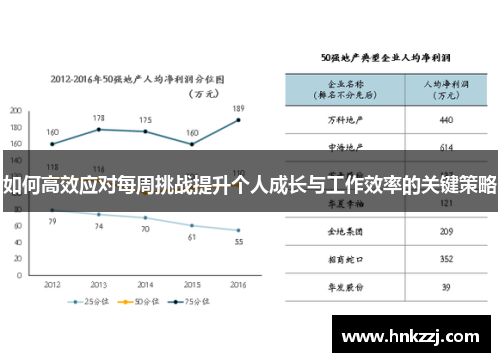如何高效应对每周挑战提升个人成长与工作效率的关键策略